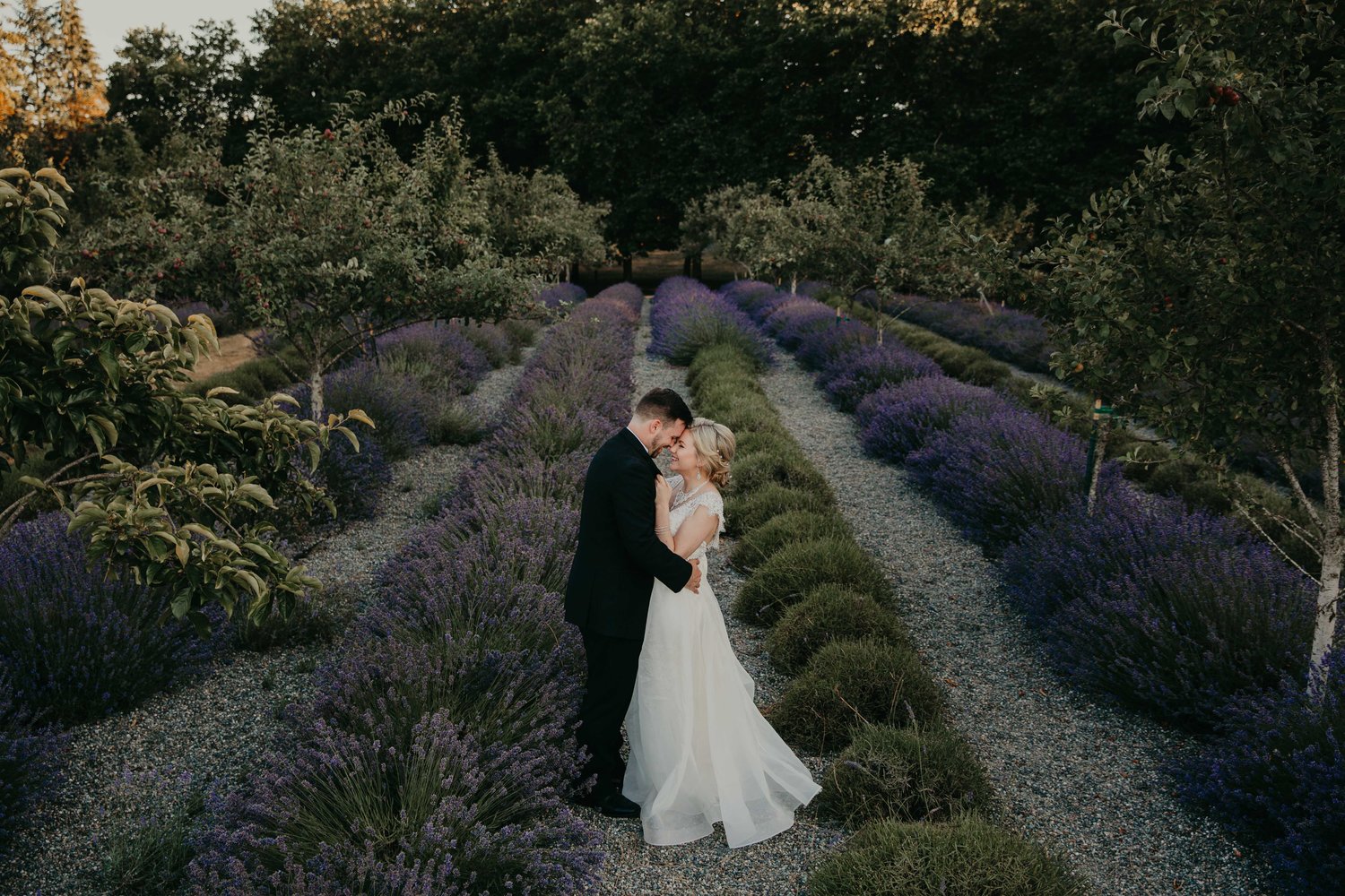 couple overlooking a lavender field
